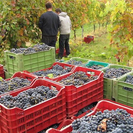 Podere Riosto Cantina&Agriturismo Pianoro Eksteriør billede