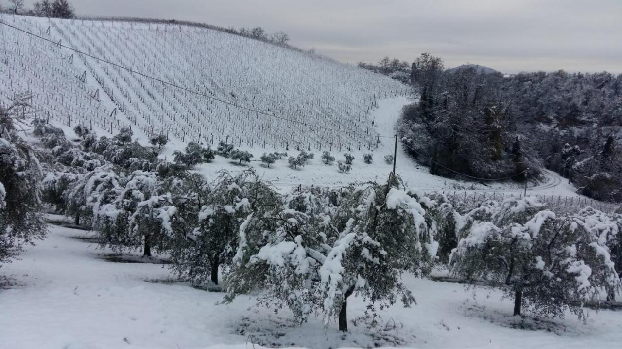 Podere Riosto Cantina&Agriturismo Pianoro Eksteriør billede