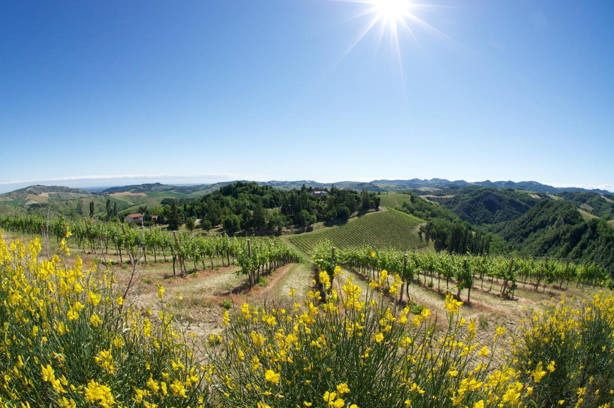 Podere Riosto Cantina&Agriturismo Pianoro Eksteriør billede