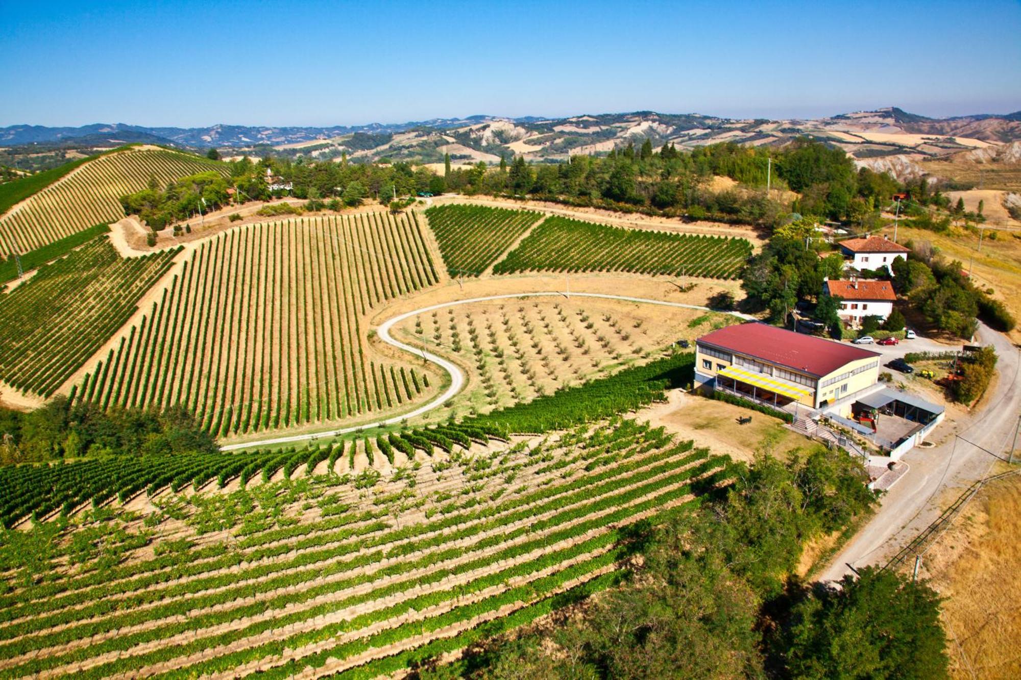 Podere Riosto Cantina&Agriturismo Pianoro Eksteriør billede
